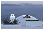Dolce riposo - SANTORINI Dolce riposo - SANTORINI