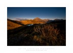 Live in the Light Live in the Light