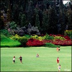 Paradisi artificiali?