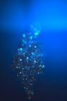 Blue diamonds Blue diamonds