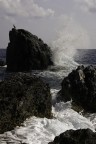 Come puo' uno scoglio arginare il mare? Come puo' uno scoglio arginare il mare?