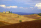 rural rural