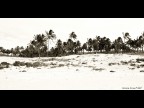 Anakena Beach Anakena Beach