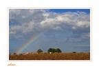 colors... colors...