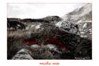 macchia rossa macchia rossa