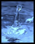 Goccia d'acqua Goccia d'acqua