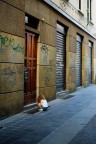 Graffitara Graffitara