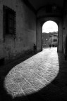 Foglia sotto l'arco Foglia sotto l'arco