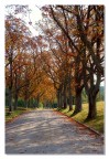 Prove d'autunno Prove d'autunno