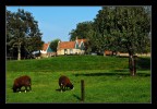 dutch country dutch country
