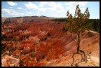 Bryce Canyon (honeymoon in USA) Bryce Canyon (honeymoon in USA)