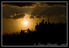 Arando al Tramonto Arando al Tramonto