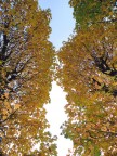 Sipario D'autunno Sipario D'autunno