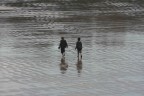 garçons e bassa marea.. garçons e bassa marea..