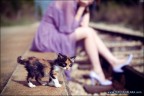 In Compagnia In Compagnia