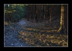 L'Ultima Luce L'Ultima Luce