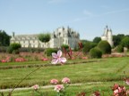 Chenonceaux