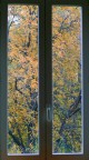 L'autunno dalla mia finestra L'autunno dalla mia finestra