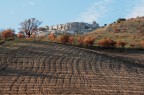 pan_acerenza_rama pan_acerenza_rama