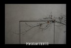 mAIcONTENTI mAIcONTENTI