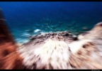 Un tuffo...? Un tuffo...?