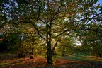 Autunno Autunno