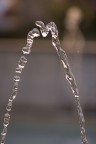 h2o h2o