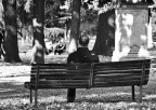 Solitario