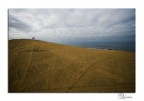 Dune contaminate Dune contaminate