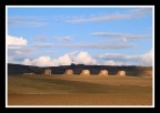 ...SWEET LAND... ...SWEET LAND...
