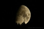 Magic moon Magic moon