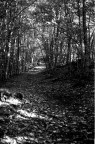 Due passi per l'appennino Pistoiese Due passi per l'appennino Pistoiese