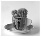 Caffe! Caffe!