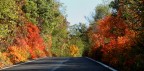 Colori Colori