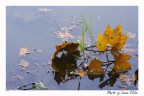 L'autunno alle porte L'autunno alle porte