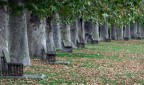 Autumn atto II° Autumn atto II°