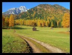 Sinfonia autunnale Sinfonia autunnale
