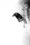 È un High Key? È un High Key?