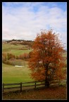 Colori d'autunno Colori d'autunno