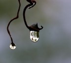 La lanterna La lanterna