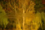 semplice autunno II semplice autunno II