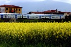 Passa il treno blu