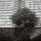 EUR (serie in corso)