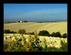 Panorama nel Pisano -2 Panorama nel Pisano -2