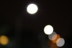 luci luci