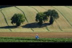 tre alberi e un pupazzo tre alberi e un pupazzo