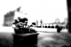 villa villa