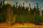 semplice autunno - riflessi nell'acqua semplice autunno - riflessi nell'acqua