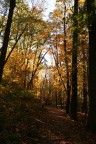 Autunno in Frick Park
