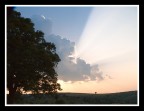 ...LIGHT IS LIFE...
